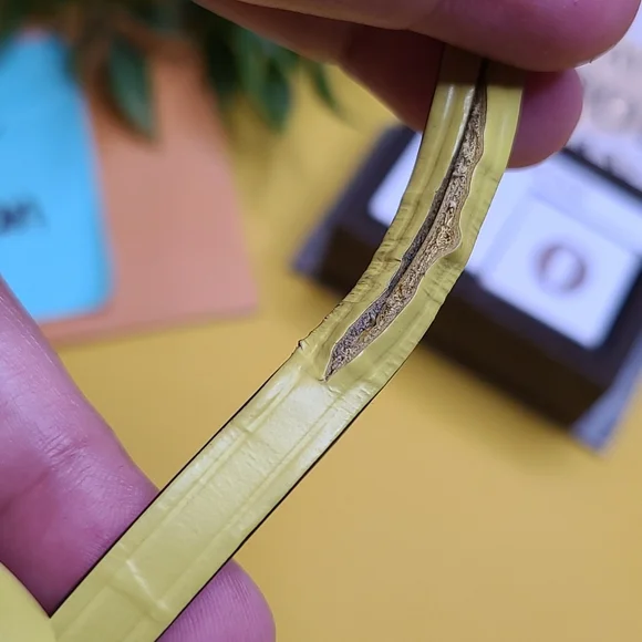 GREAT CONDITION LOUIS VUITTON LV PISTACHE YELLOW GREEN LIME LEATHER CLOCHETTE KE - Picture 9 of 10